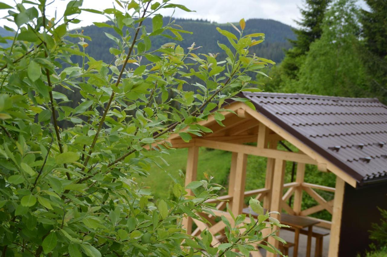 Пагорб Їжака / Hedgehog Hill Villa ยาบลูนิตซา ภายนอก รูปภาพ